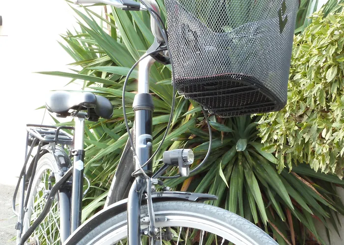 Hotel Elegance Suites Hotel Le Bois-Plage-en-Re