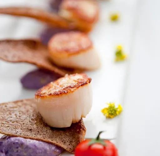 Hotel Elegance Suites Hotel