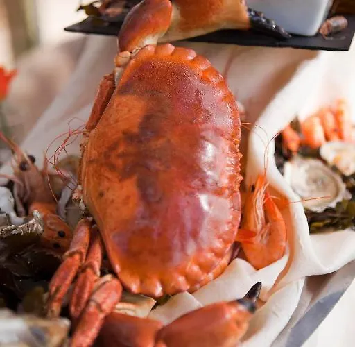 Elegance Suites Hotel Hotel Le Bois-Plage-en-Re